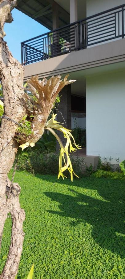 Indraprastha Cottage Ubud Экстерьер фото